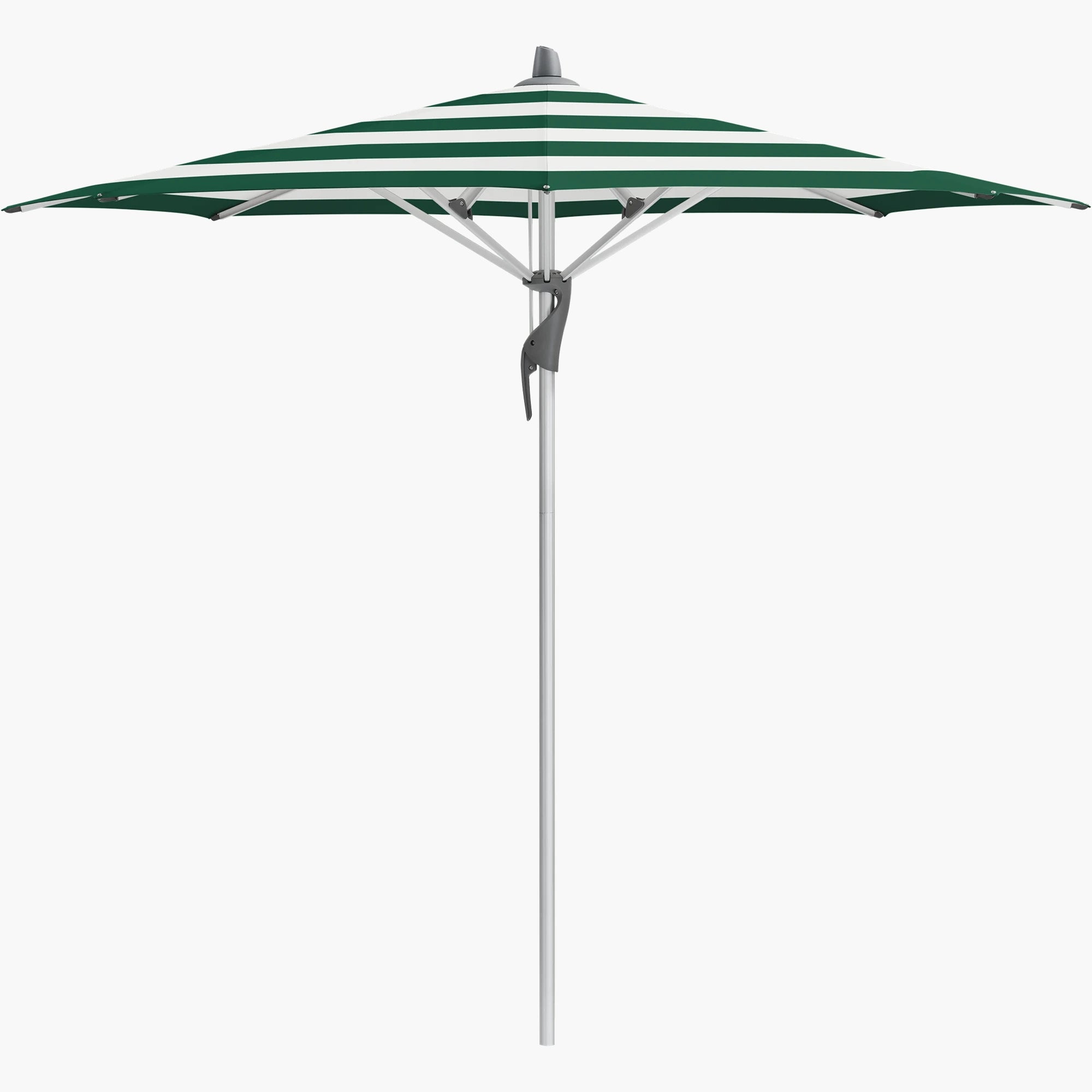 Green Stripe 589 - Glatz