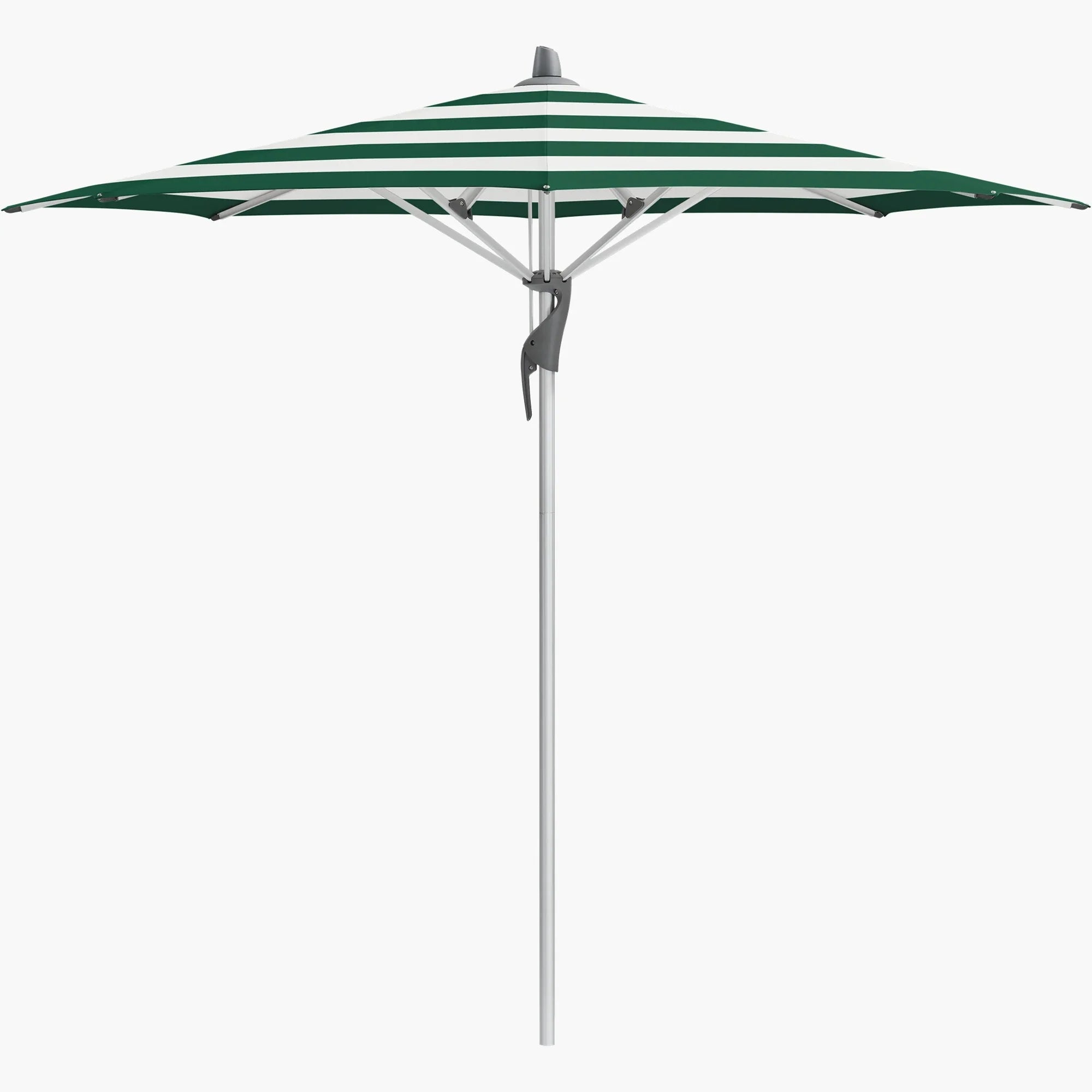 Green Stripe 589 - Glatz