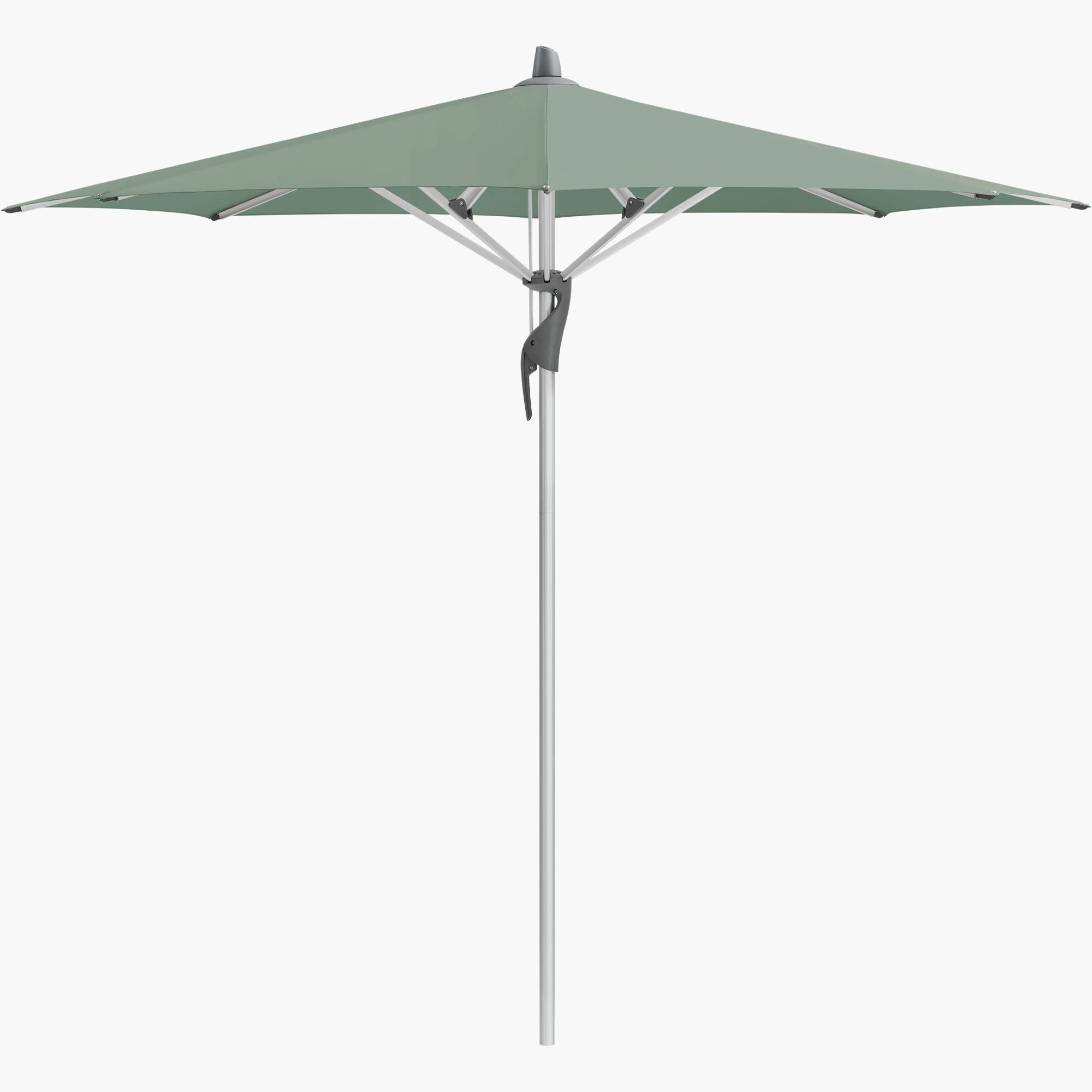 Olive 588 - Glatz