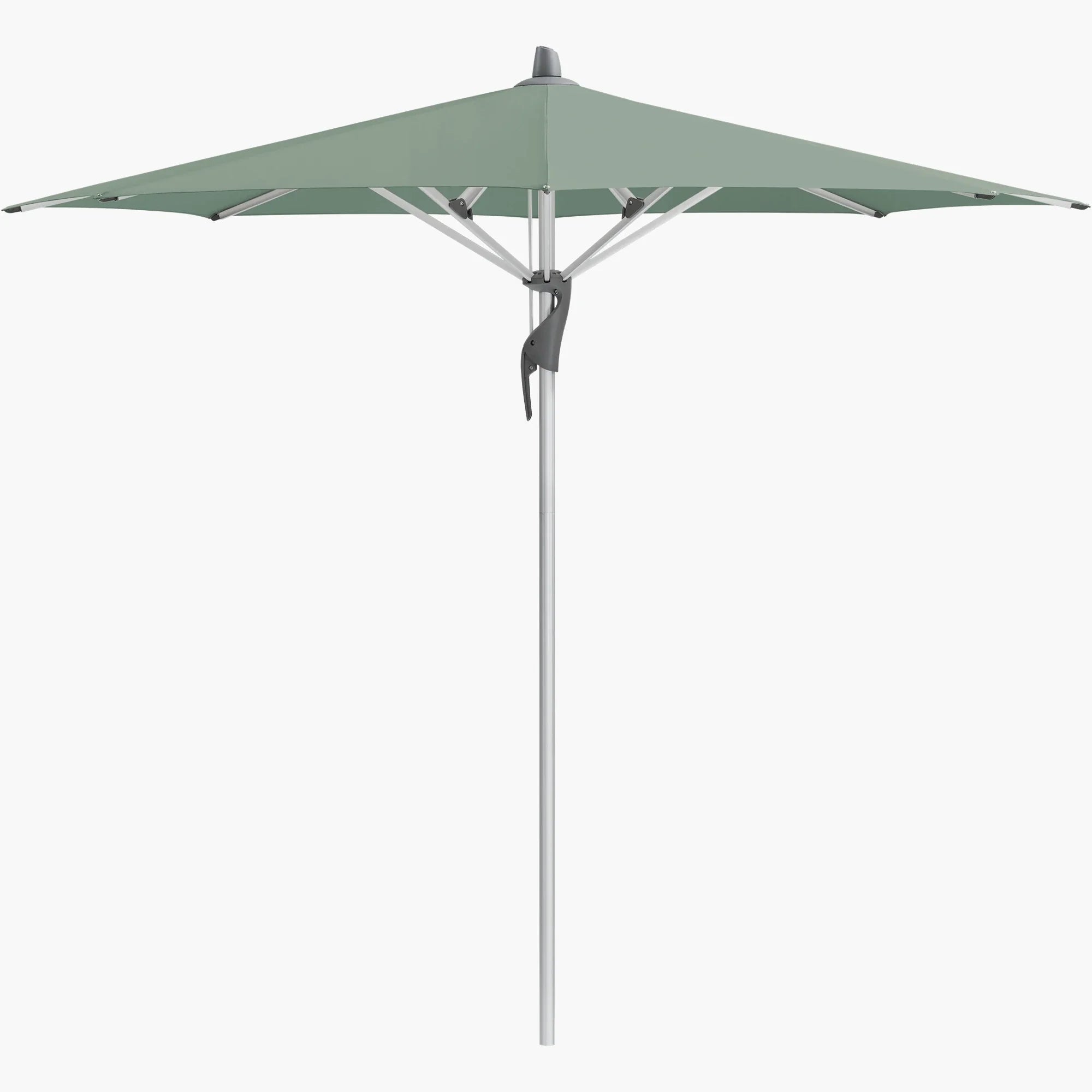 Olive 588 - Glatz