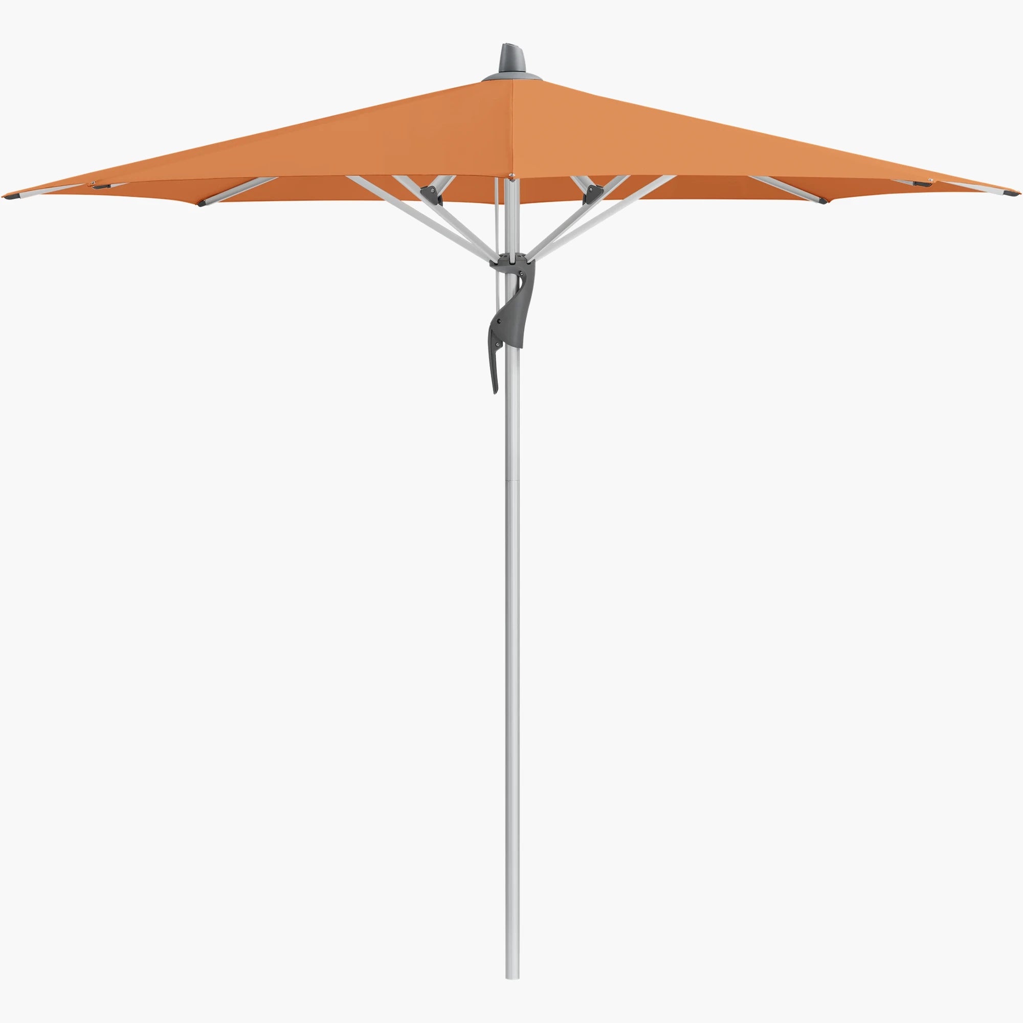 Sienna 802 - Glatz