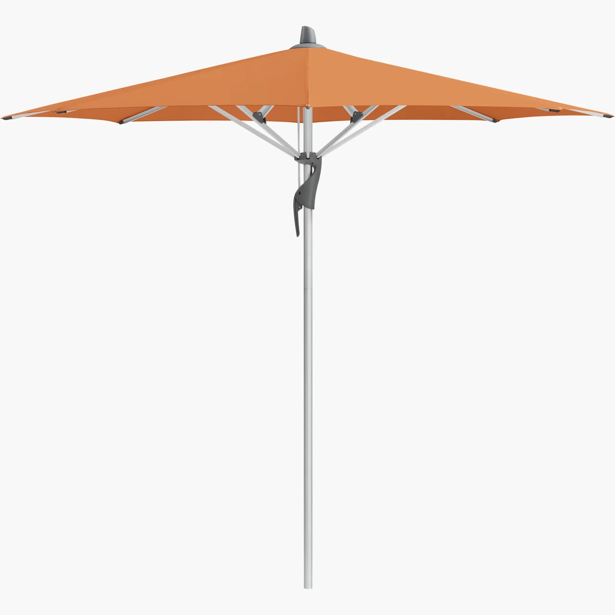 Sienna 802 - Glatz