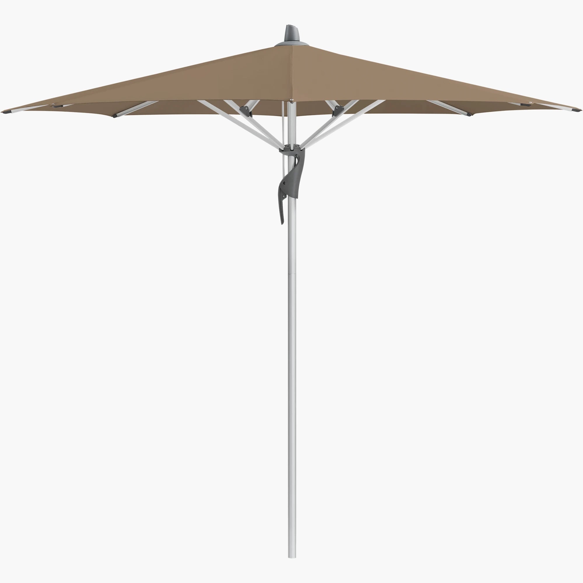 Walnut 805 - Glatz