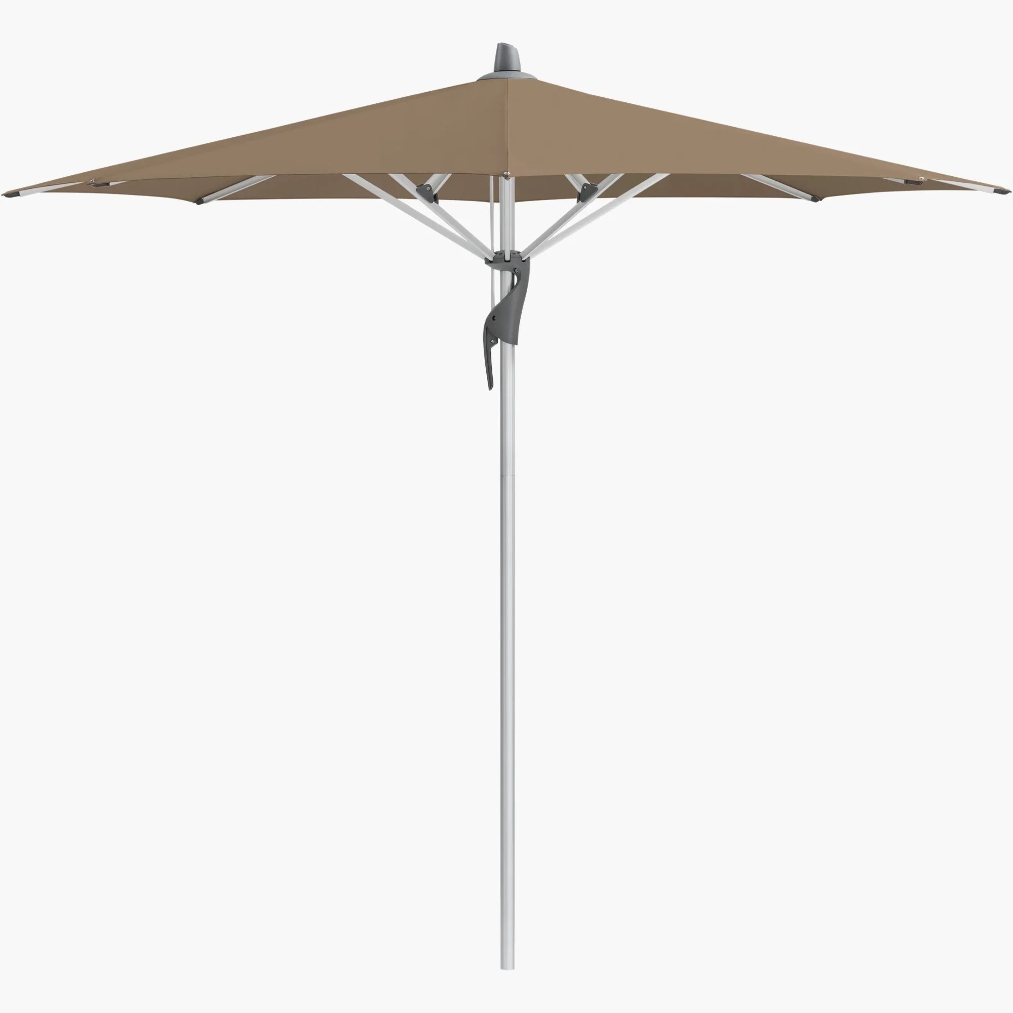 Walnut 805 - Glatz