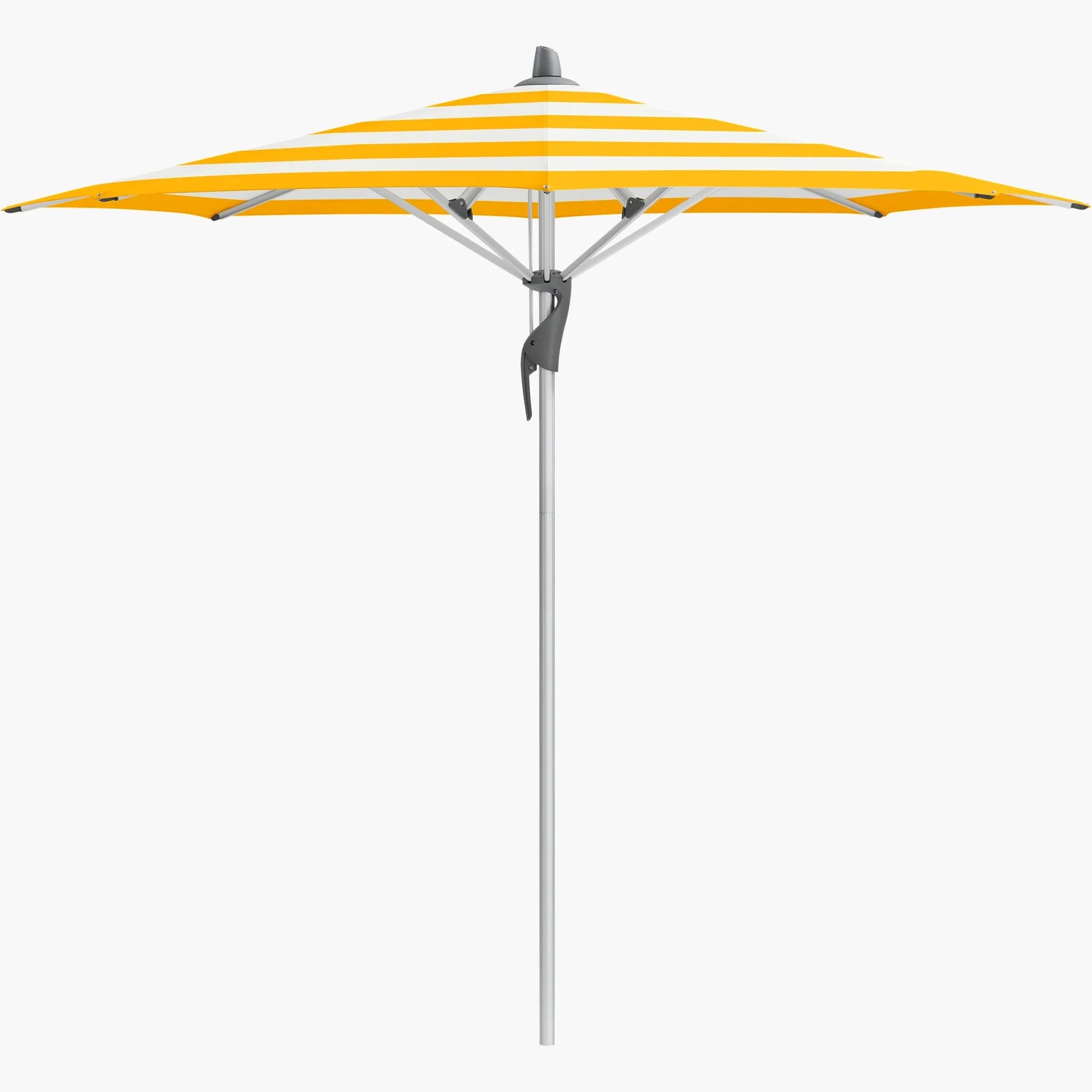 Yellow Stripe 624 - Glatz