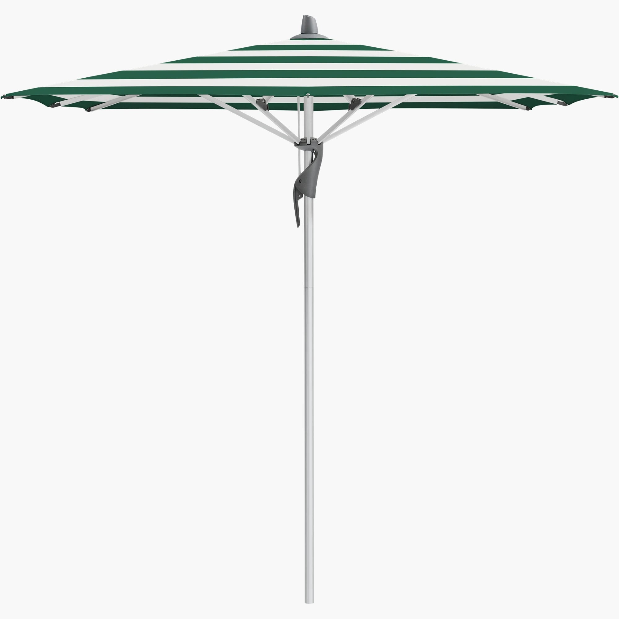 Green Stripe 589 - Glatz