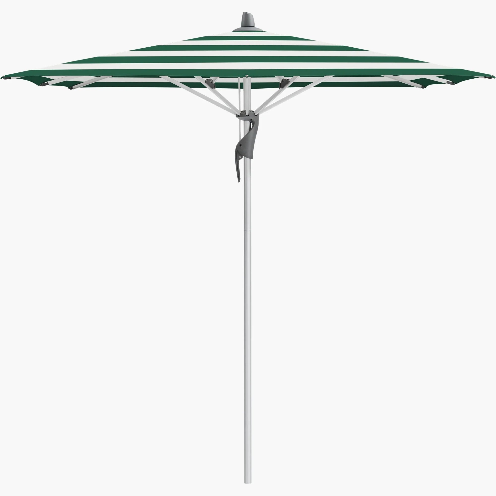 Green Stripe 589 - Glatz