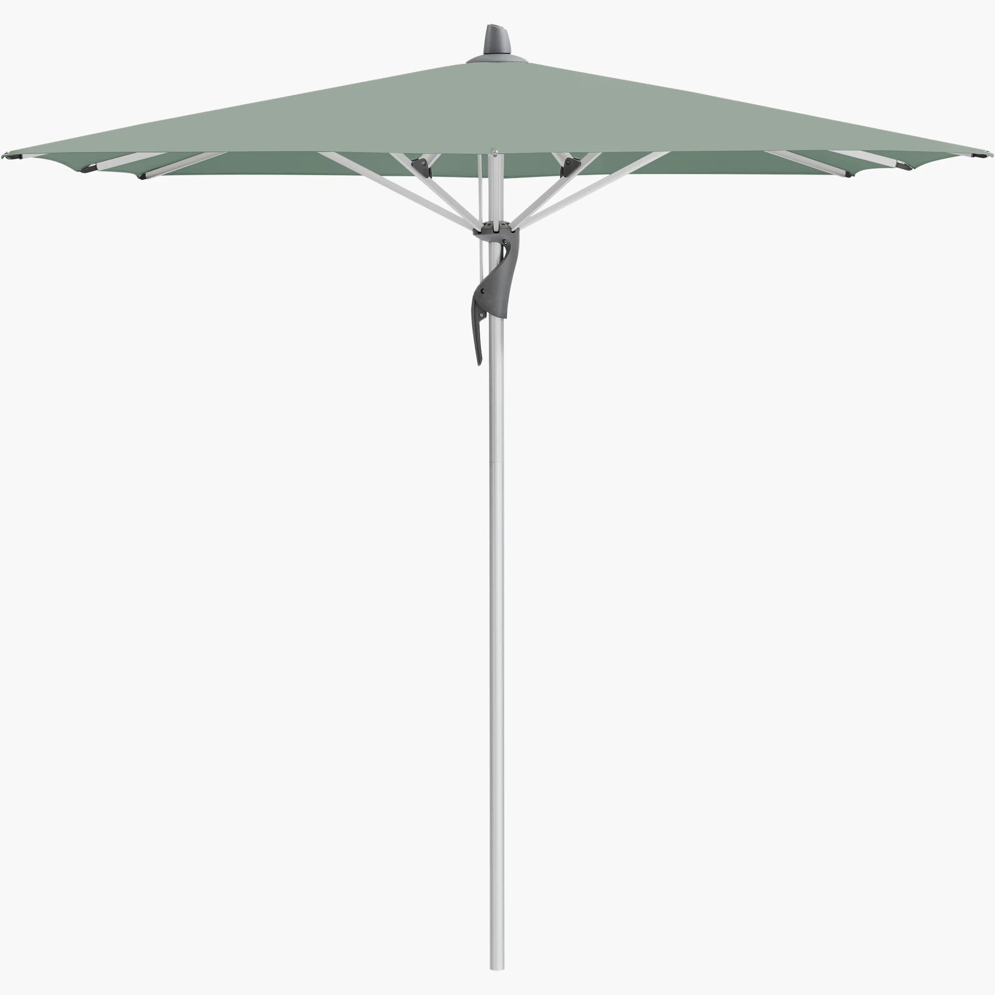 Olive 588 - Glatz