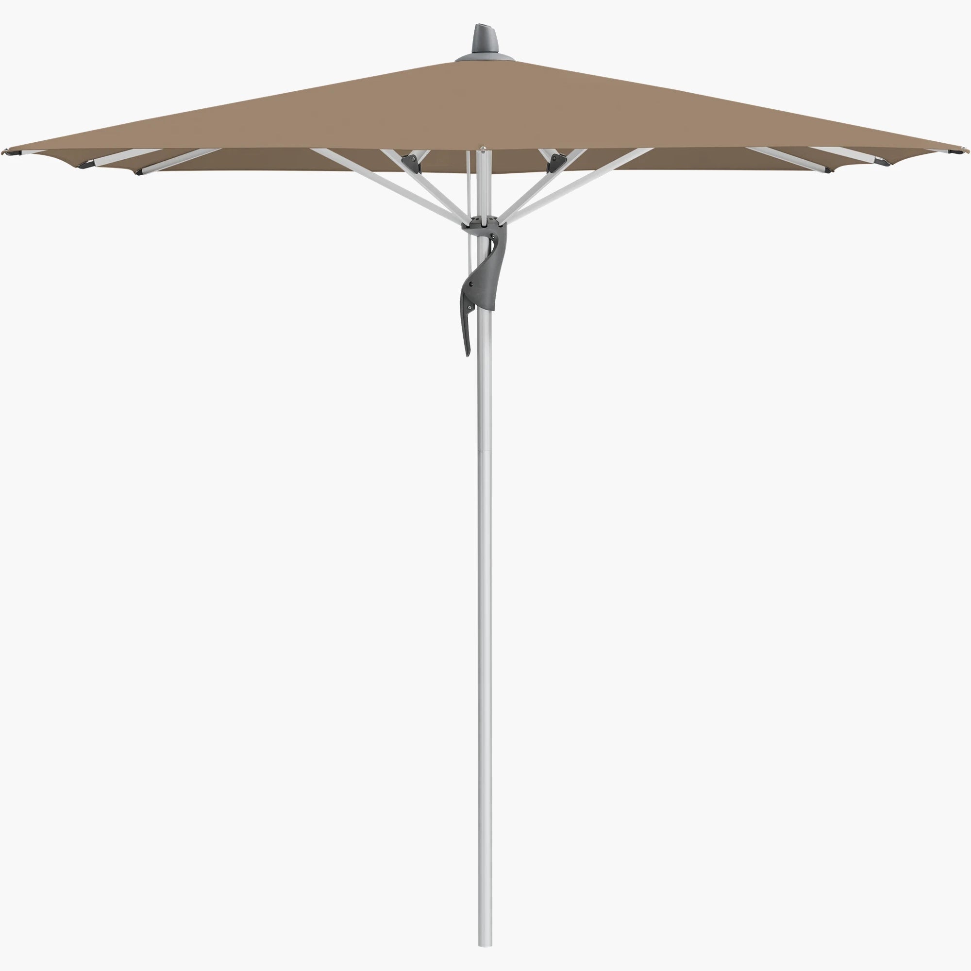 Walnut 805 - Glatz