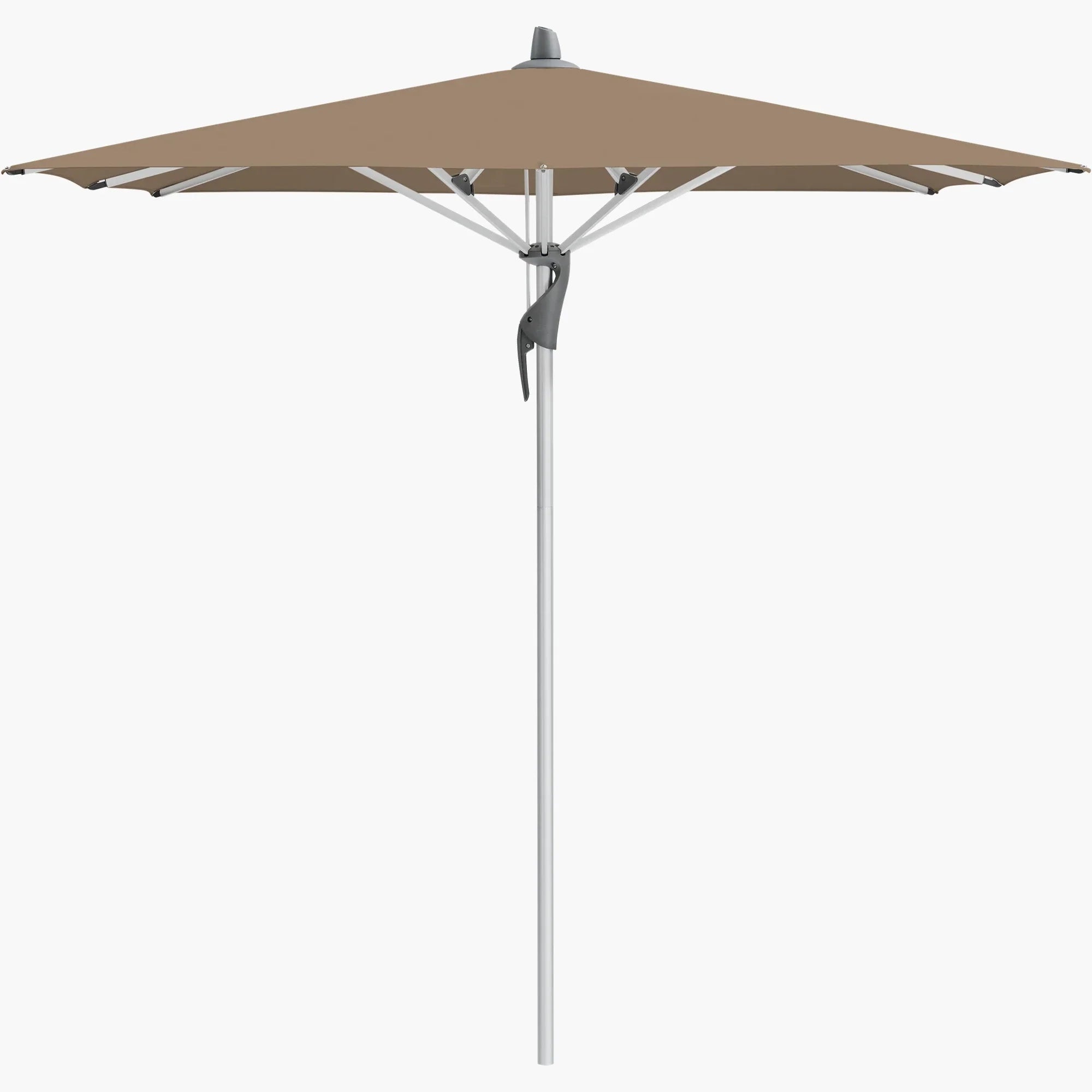 Walnut 805 - Glatz
