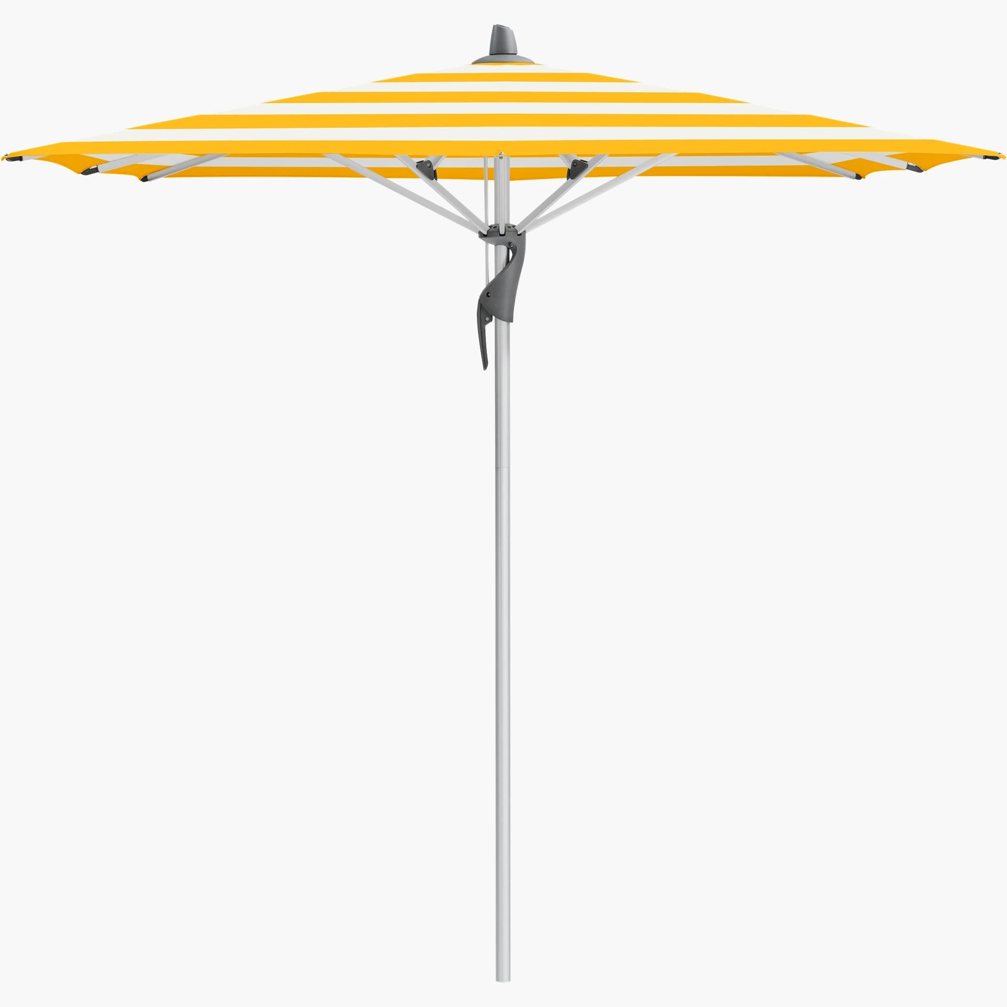 Yellow Stripe 624 - Glatz