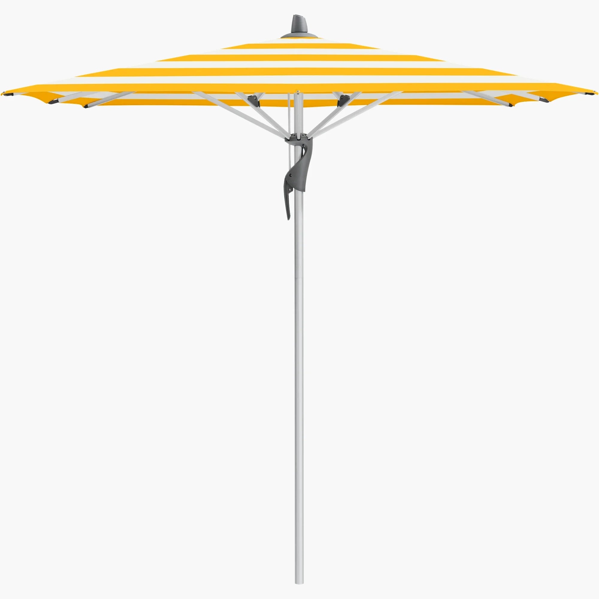 Yellow Stripe 624 - Glatz