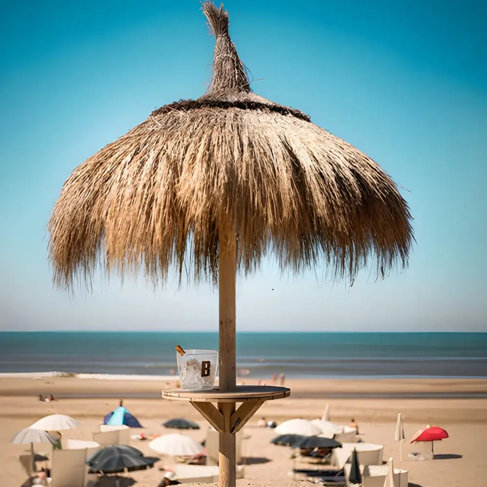 Rieten Parasol Playa - Palmo