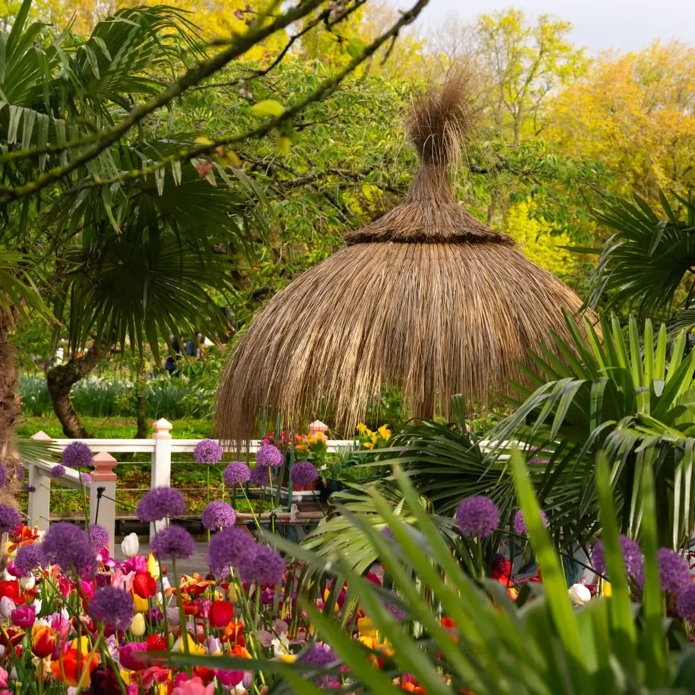 Rieten Parasol Playa - Palmo
