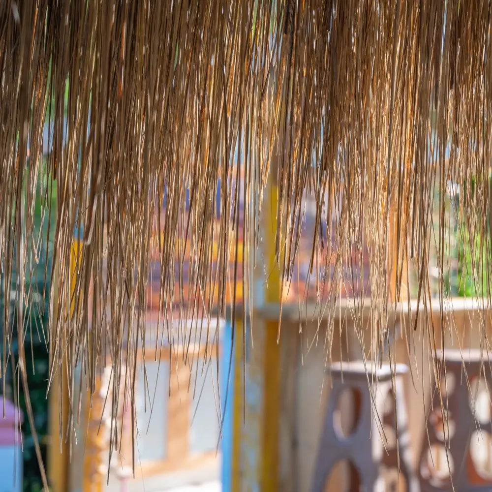 Rieten Parasol Playa - Palmo