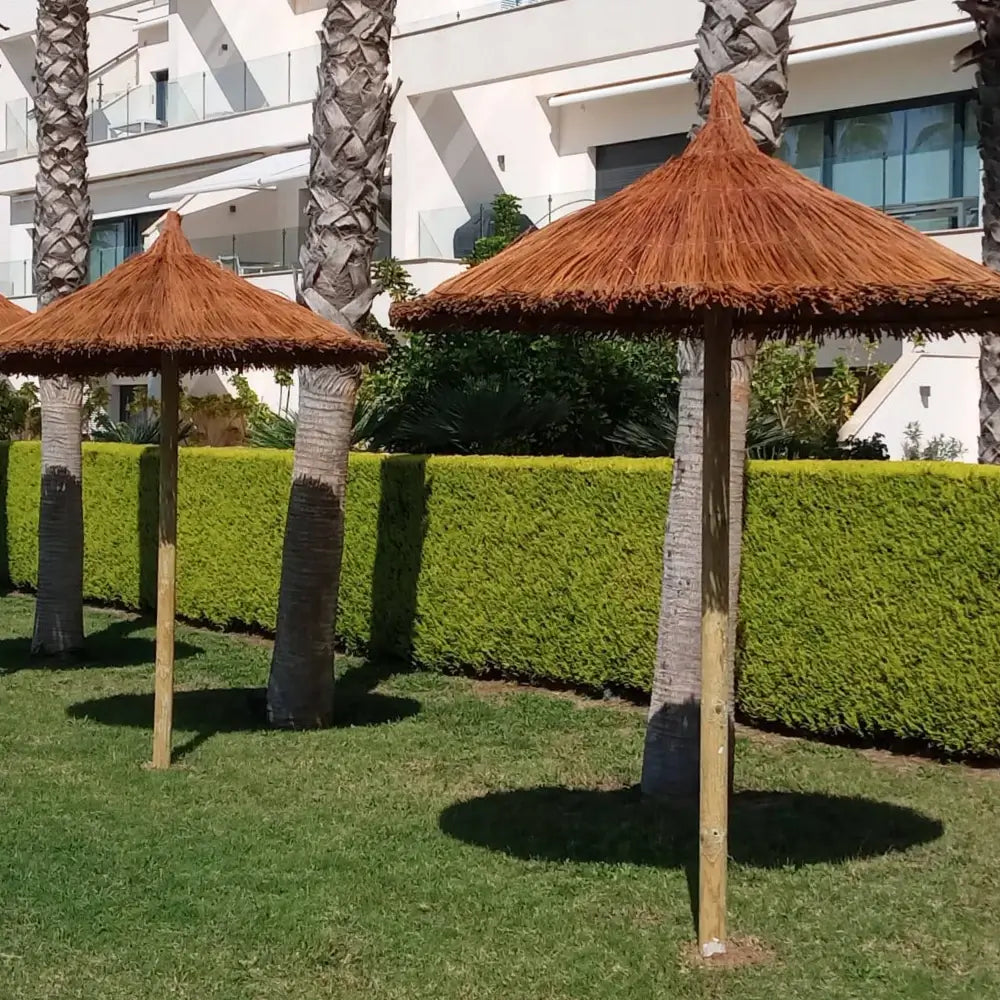 Rieten Parasol Cañamares - Palmo