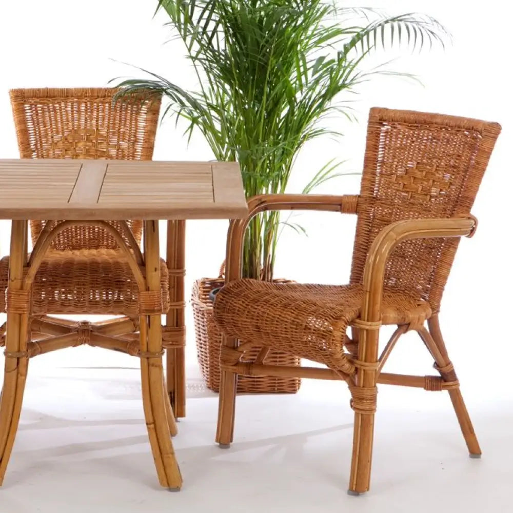Winchair Rotan Terrasstoel Aangeenbrug - Palmo Store - Aangeenbrug